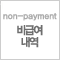 non-payment 비급여 내역